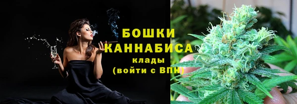 гашик Аркадак