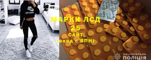 гашик Аркадак